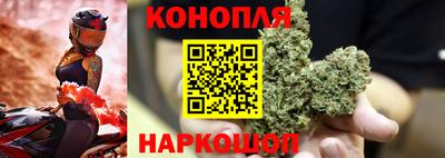 тгк Волгодонск
