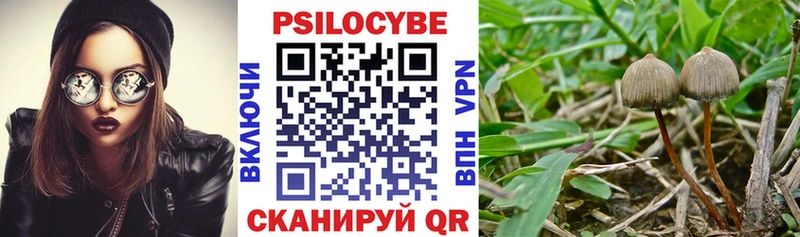 Псилоцибиновые грибы MAGIC MUSHROOMS  Ливны 