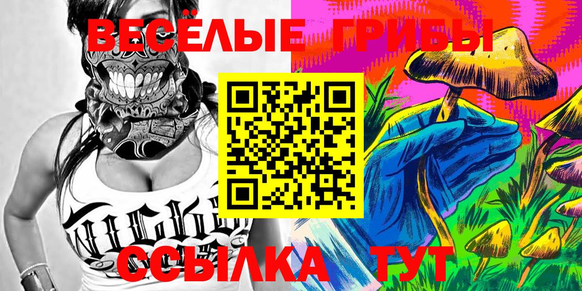 Галлюциногенные грибы Psilocybine cubensis Ливны