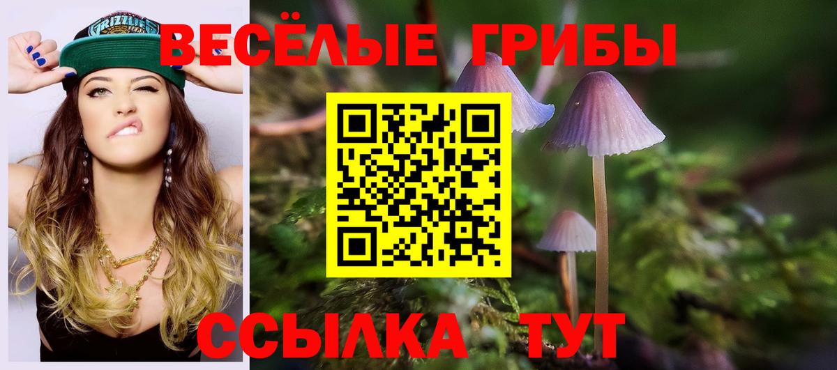 Галлюциногенные грибы Magic Shrooms  цена наркотик  Ливны  Вход с VPN 