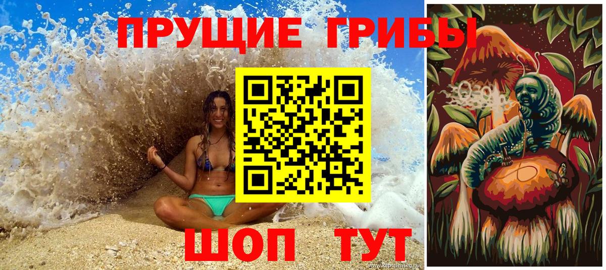 наркотики  Вход с VPN  Ливны  Псилоцибиновые грибы мицелий 